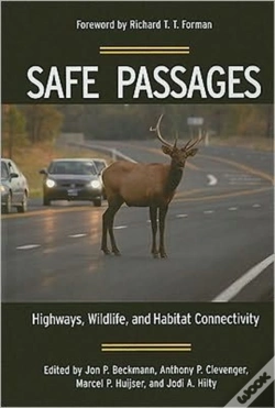 Capa do artigo Safe Passages