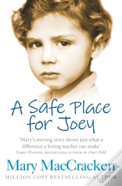 Capa do artigo Safe Place For Joey
