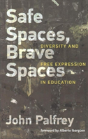 Safe Spaces, Brave Spaces - Preview