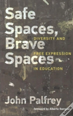 Capa do artigo Safe Spaces, Brave Spaces