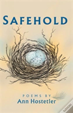 Capa do artigo Safehold
