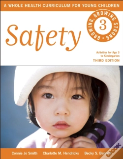 Capa do artigo Safety