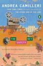 Safety Net - Preview