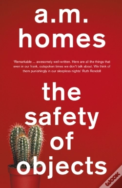 Capa do artigo Safety Of Objects