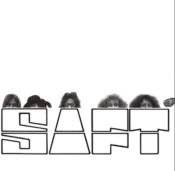 Capa do artigo Saft - Vinil