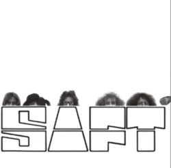 Capa do artigo Saft - Vinil