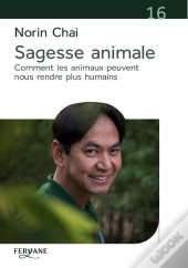 Sagesse Animale ; Comment Les Animaux Peuvent Nous Rendre Plus Humains
