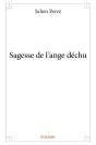 Sagesse De L'Ange Dechu - Preview
