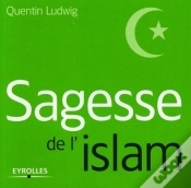 Capa do artigo Sagesse De L