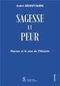 Sagesse Et Peur : Macron Et Le Sens De L'Histoire - Preview