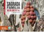 Sagrada Familia Monumental - Preview