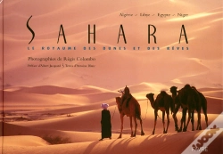 Capa do artigo Sahara