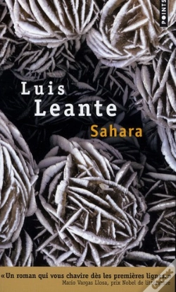 Capa do artigo Sahara