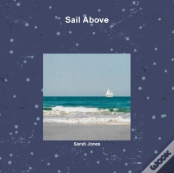 Capa do artigo Sail Above