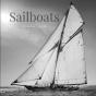 Sailboats - Preview