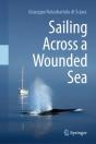 Sailing Across A Wounded Sea - Preview