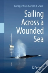 Sailing Across A Wounded Sea