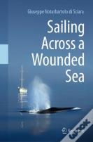 Sailing Across A Wounded Sea