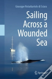 Capa do artigo Sailing Across A Wounded Sea