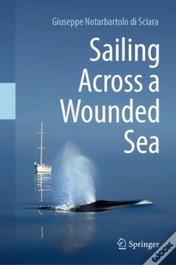 Capa do artigo Sailing Across A Wounded Sea