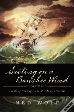 Capa do artigo Sailing On A Banshee Wind, Volume I