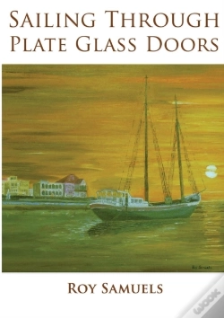 Capa do artigo Sailing Through Plate Glass Doors