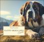 Saint Bernard Eternel - Preview
