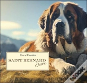 Capa do artigo Saint Bernard Eternel