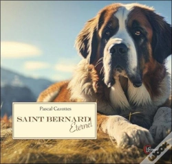 Capa do artigo Saint Bernard Eternel