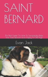 Saint Bernard