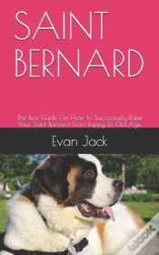 Capa do artigo Saint Bernard