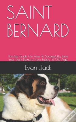 Capa do artigo Saint Bernard