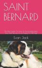 Saint Bernard - Preview