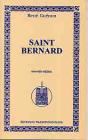 Saint Bernard - Preview