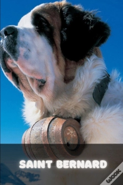 Capa do artigo Saint Bernard
