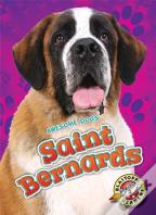 Saint Bernards