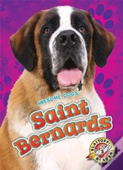Capa do artigo Saint Bernards