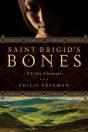 Saint Brigid'S Bones - Preview