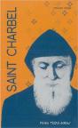 Saint Charbel - Preview