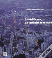 Saint Etienne, Un Territoire Se Reinvente /Francais