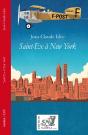Saint-Ex À New York - Preview