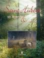 Saint Hubert, Sa Légende Et La Forêt - Preview