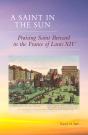 Saint In The Sun - Preview