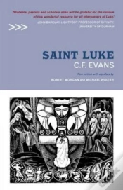 Capa do artigo Saint Luke