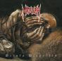 Saints Dispelled - CD - Preview