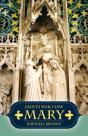 Saints Who Saw Mary - Preview