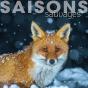 Saisons Sauvages - Preview