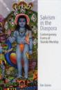 Saivism In The Diaspora - Preview