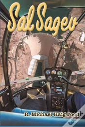 Capa do artigo Sal Sagev