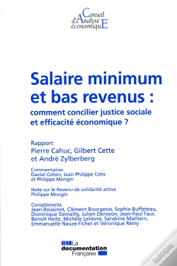 Capa do artigo Salaire Minimum Et Bas Revenus ; Comment Concilier Justice Sociale Et Efficacité Économique ?